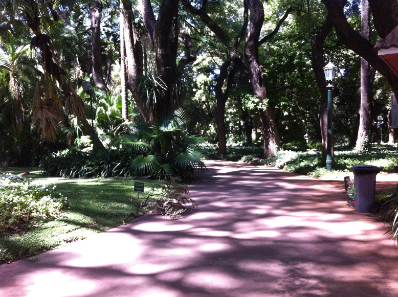All Paths Lead To Jardín Botánico
